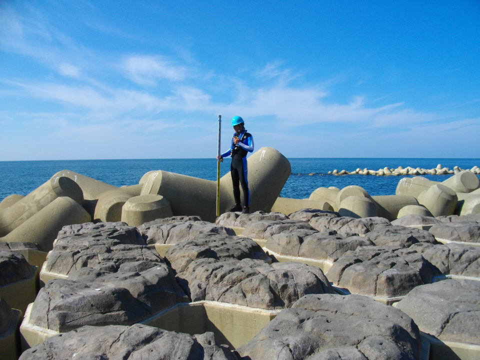 「海岸の測量」の画像